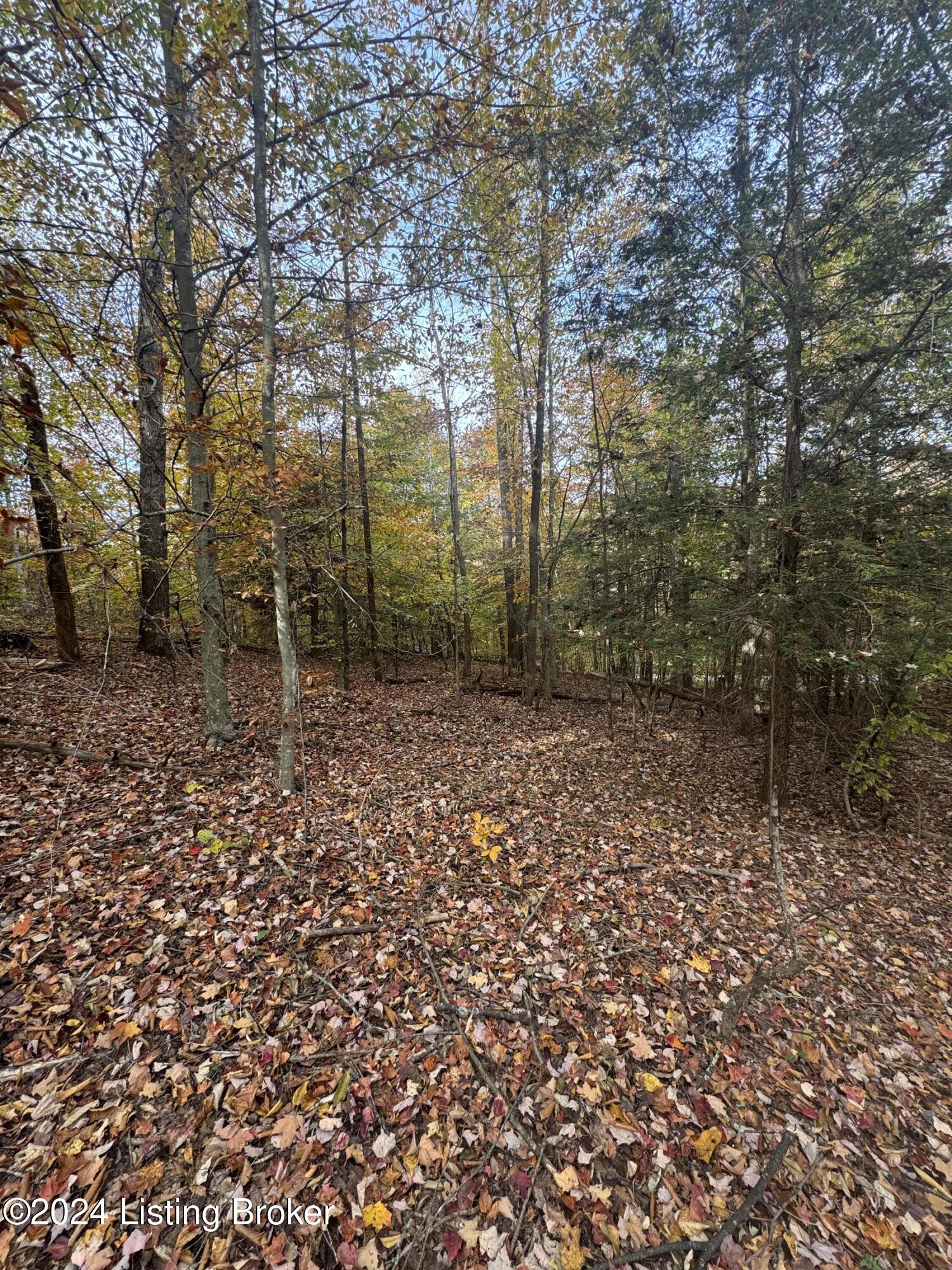 0 Ditney Ridge Road Morehead, KY 40351 - Photo 15 of 39 IMG_4294