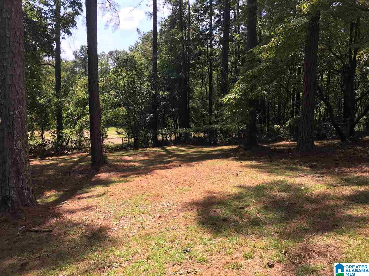 1458 Highway 74 Chelsea, AL 35043 - Photo 7 of 24