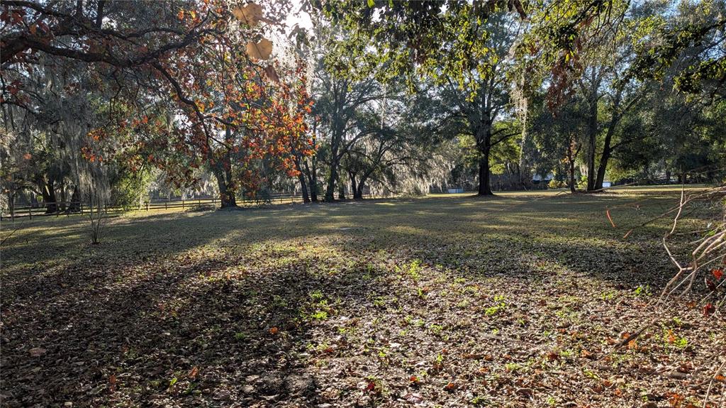 9350 Southeast 170th Avenue Road Ocklawaha, FL 32179 - Photo 35 of 69 a view of a field with trees