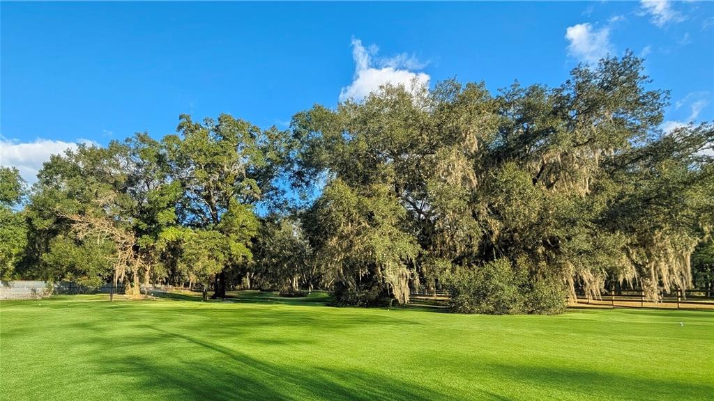 9350 Southeast 170th Avenue Road Ocklawaha, FL 32179 - Photo 5 of 69