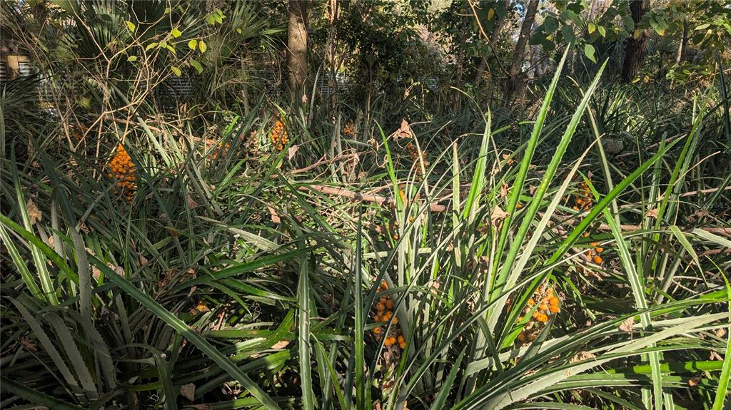 9350 Southeast 170th Avenue Road Ocklawaha, FL 32179 - Photo 55 of 69