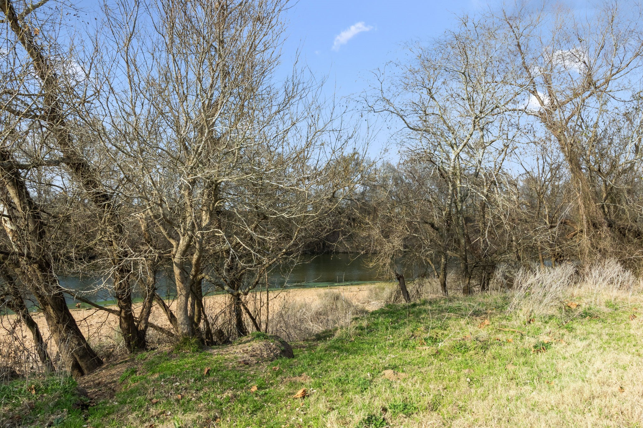 Tbd Shaws Bend Road Columbus, TX 78934 - Photo 23 of 35