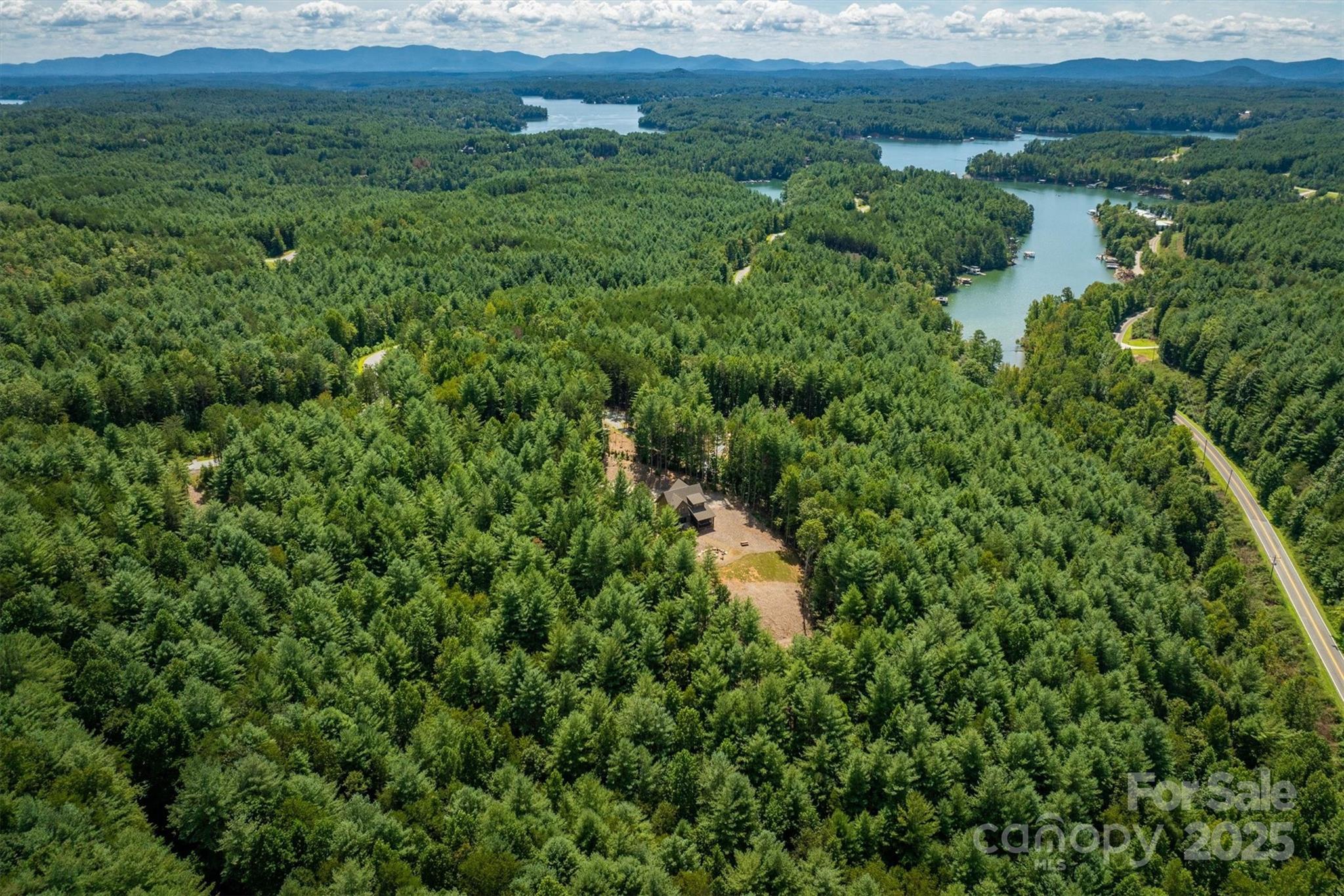 1370 Saylor Way, Unit 8 Nebo, NC 28761 - Photo 11 of 44 a view of a lush green forest with lots of trees