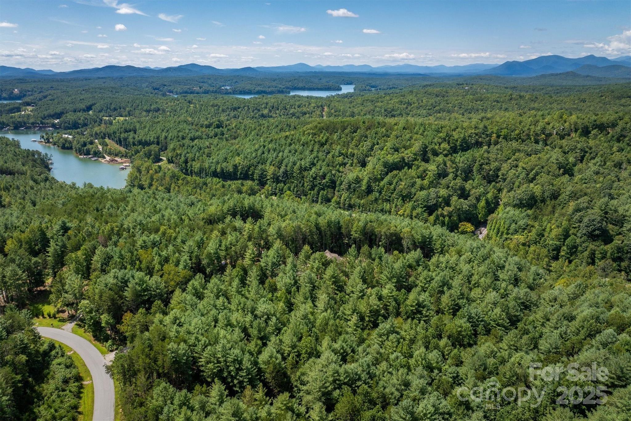 1370 Saylor Way, Unit 8 Nebo, NC 28761 - Photo 13 of 44 a view of a lush green hillside and a houses