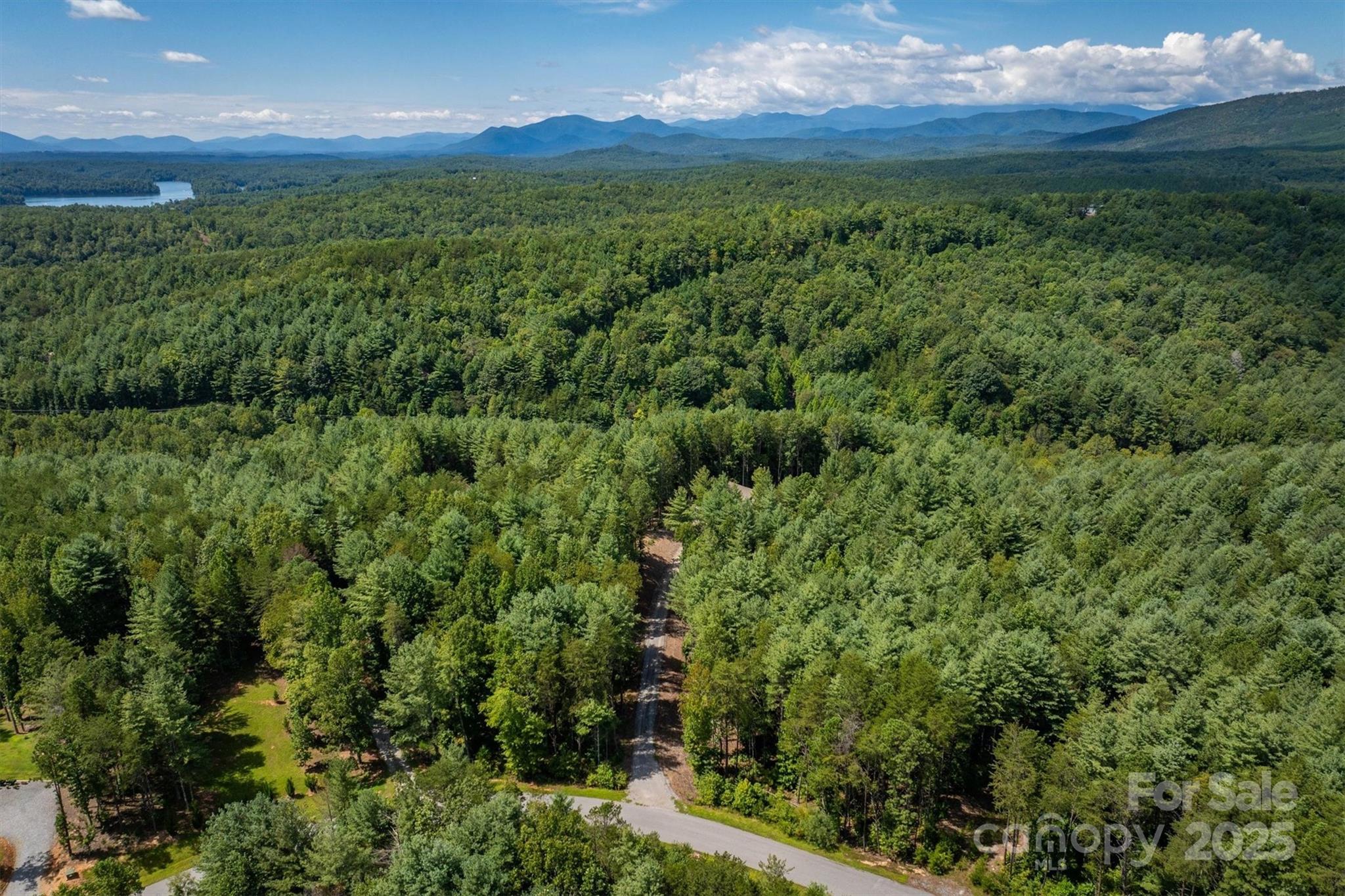 1370 Saylor Way, Unit 8 Nebo, NC 28761 - Photo 14 of 44 a view of a lush green forest with lots of trees