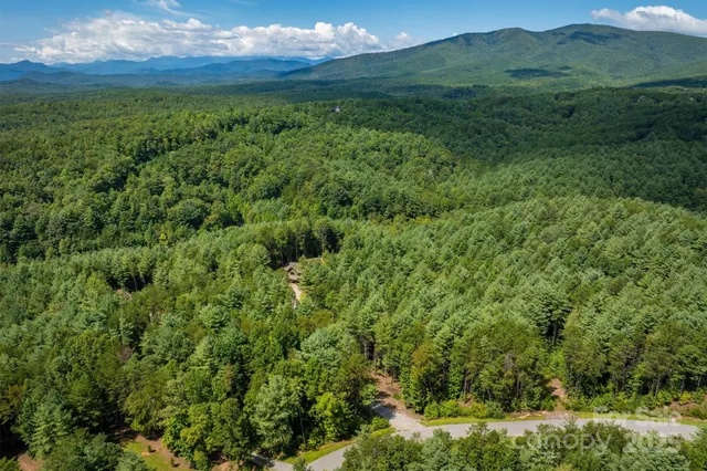 a view of a lush green forest with lots of trees