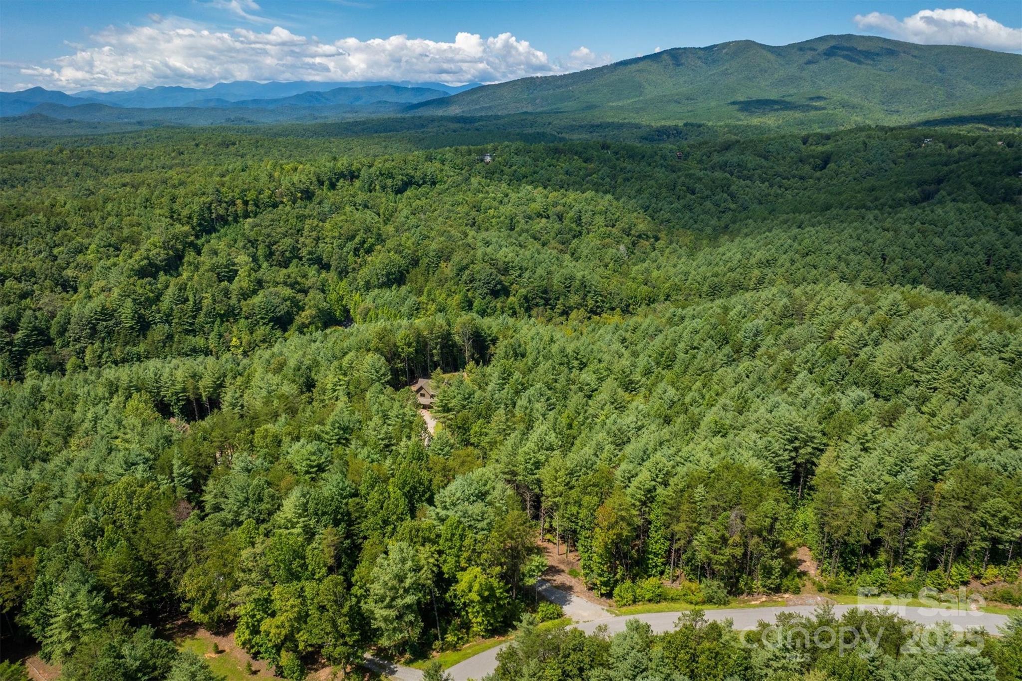 1370 Saylor Way, Unit 8 Nebo, NC 28761 - Photo 15 of 44 a view of a lush green forest with lots of trees