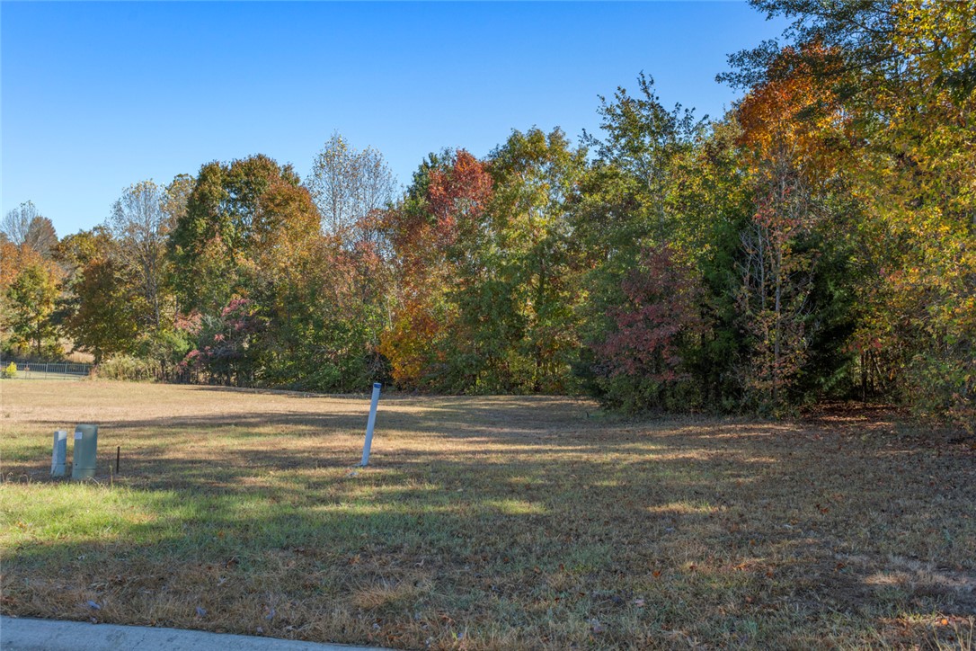 1002 Winmar Drive Anderson, SC 29621 - Photo 4 of 11