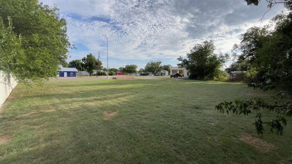 505 East Walnut Street Coleman, TX 76834 - Photo 4 of 4 a big yard with lots of green space and plants