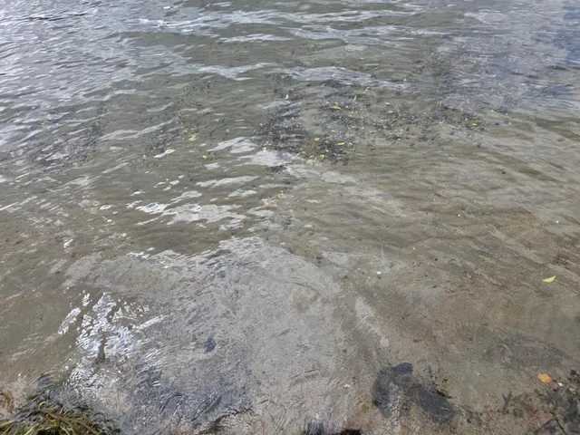 $200,000 | Ten Anjonabe Court Southeast, Bemidji, MN 56601