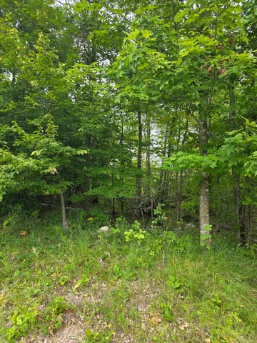 $200,000 | Ten Anjonabe Court Southeast, Bemidji, MN 56601