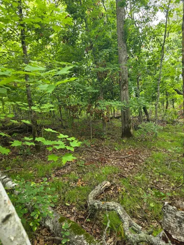 $200,000 | Ten Anjonabe Court Southeast, Bemidji, MN 56601