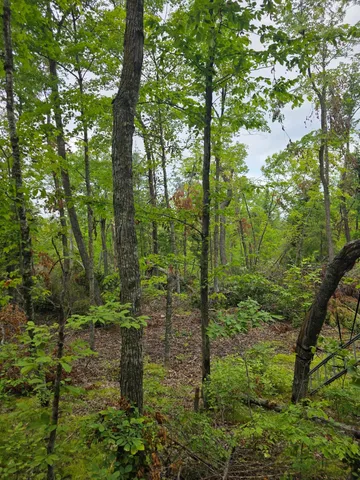 $200,000 | Ten Anjonabe Court Southeast, Bemidji, MN 56601