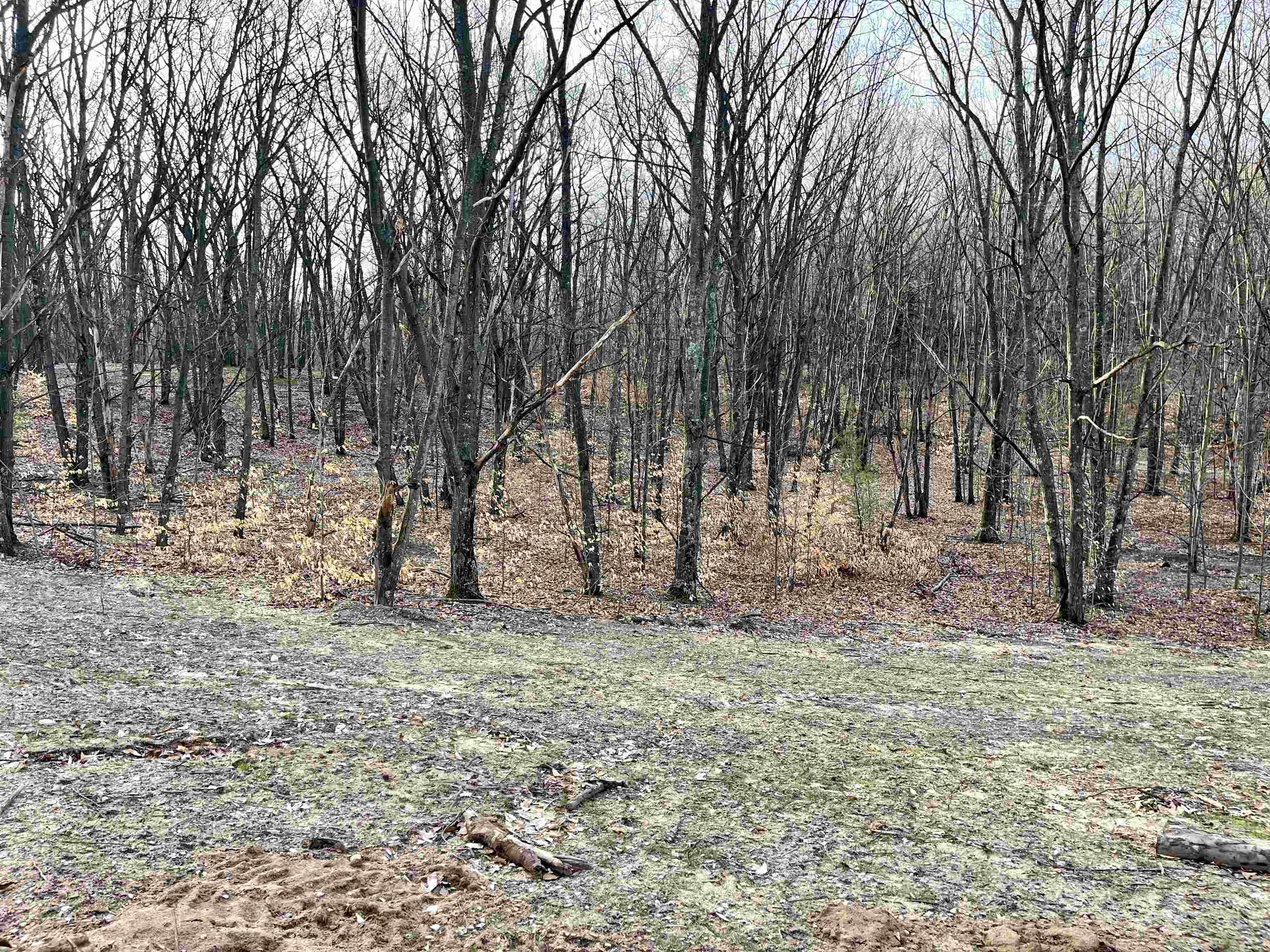 Parcel D West Trumbull Road Maple City, MI 49664 - Photo 4 of 10