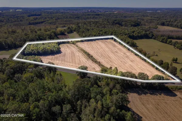 a view of a field with a forest