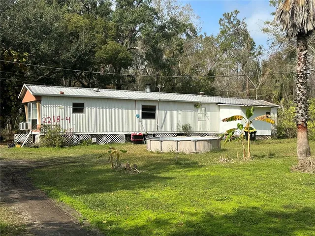 a view of a yard with large tree