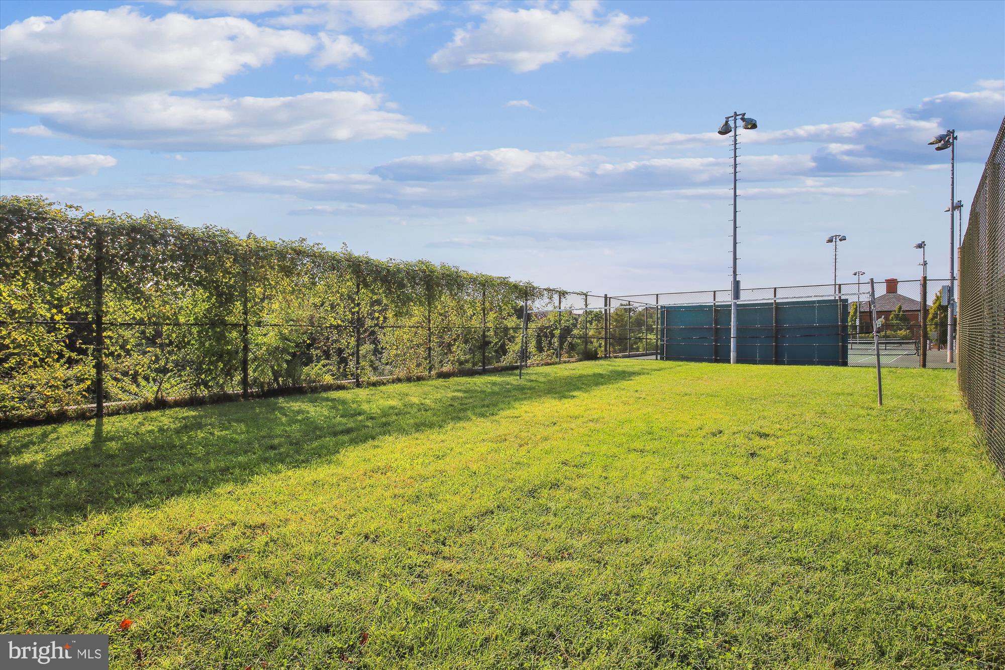 1706 Dewitt Avenue, Unit A Alexandria, VA 22301 - Photo 54 of 90 Potomac Yard Volleyball Court