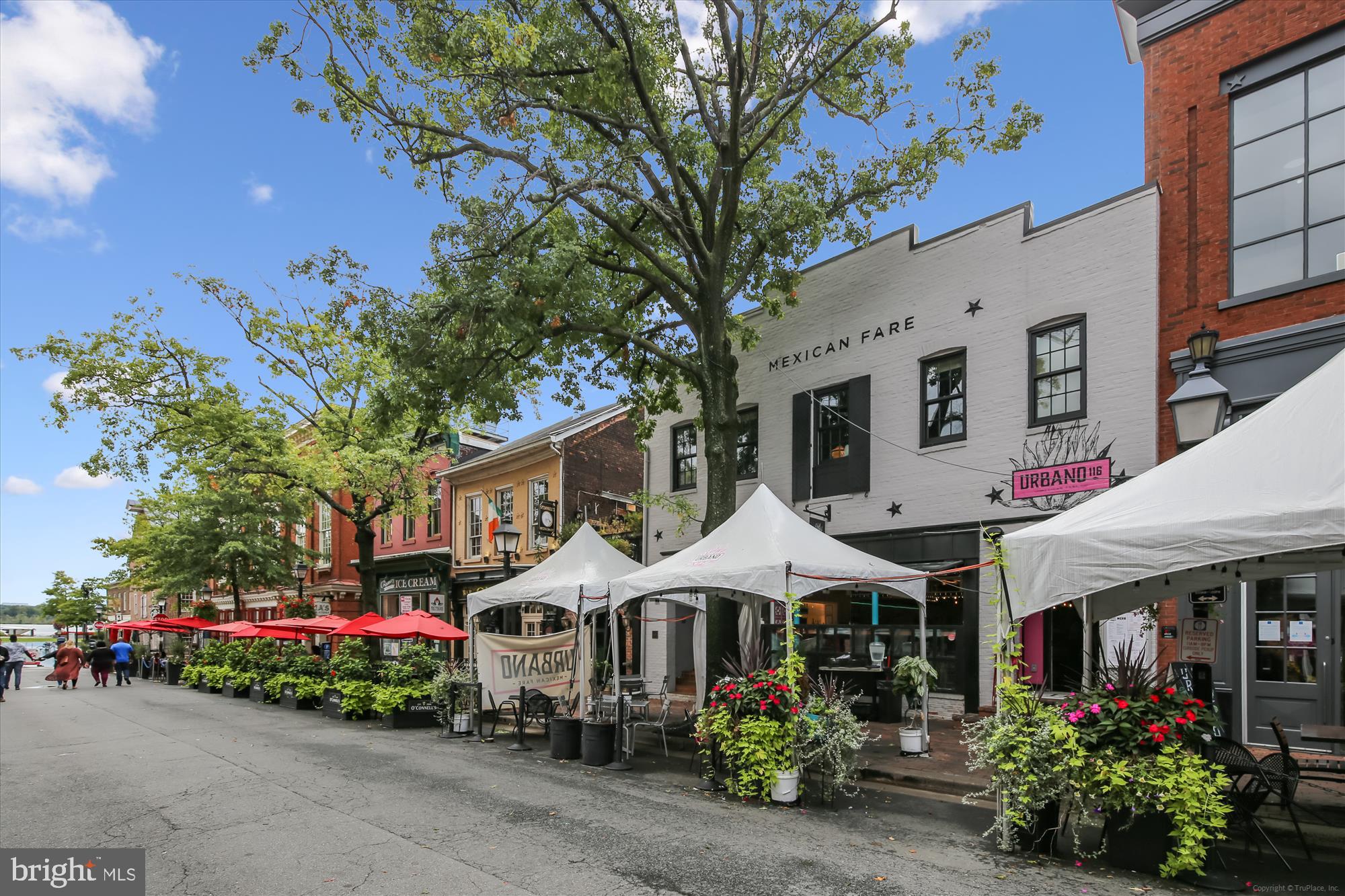 1706 Dewitt Avenue, Unit A Alexandria, VA 22301 - Photo 83 of 90 Alexandria - Old Town