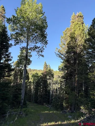 a view of a lake with a tree in the background