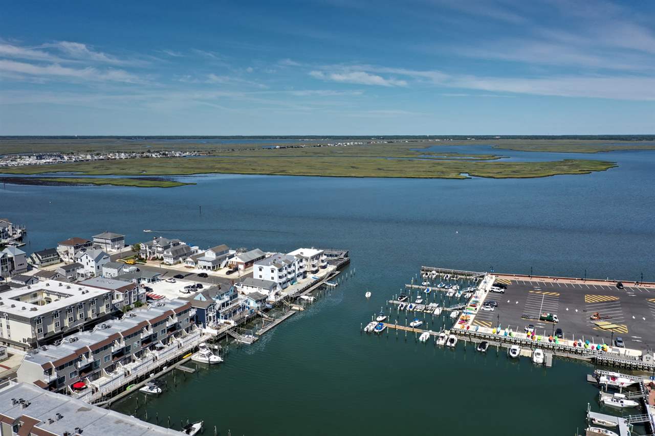 328 83rd Street Stone Harbor, NJ 08247 - Photo 5 of 24