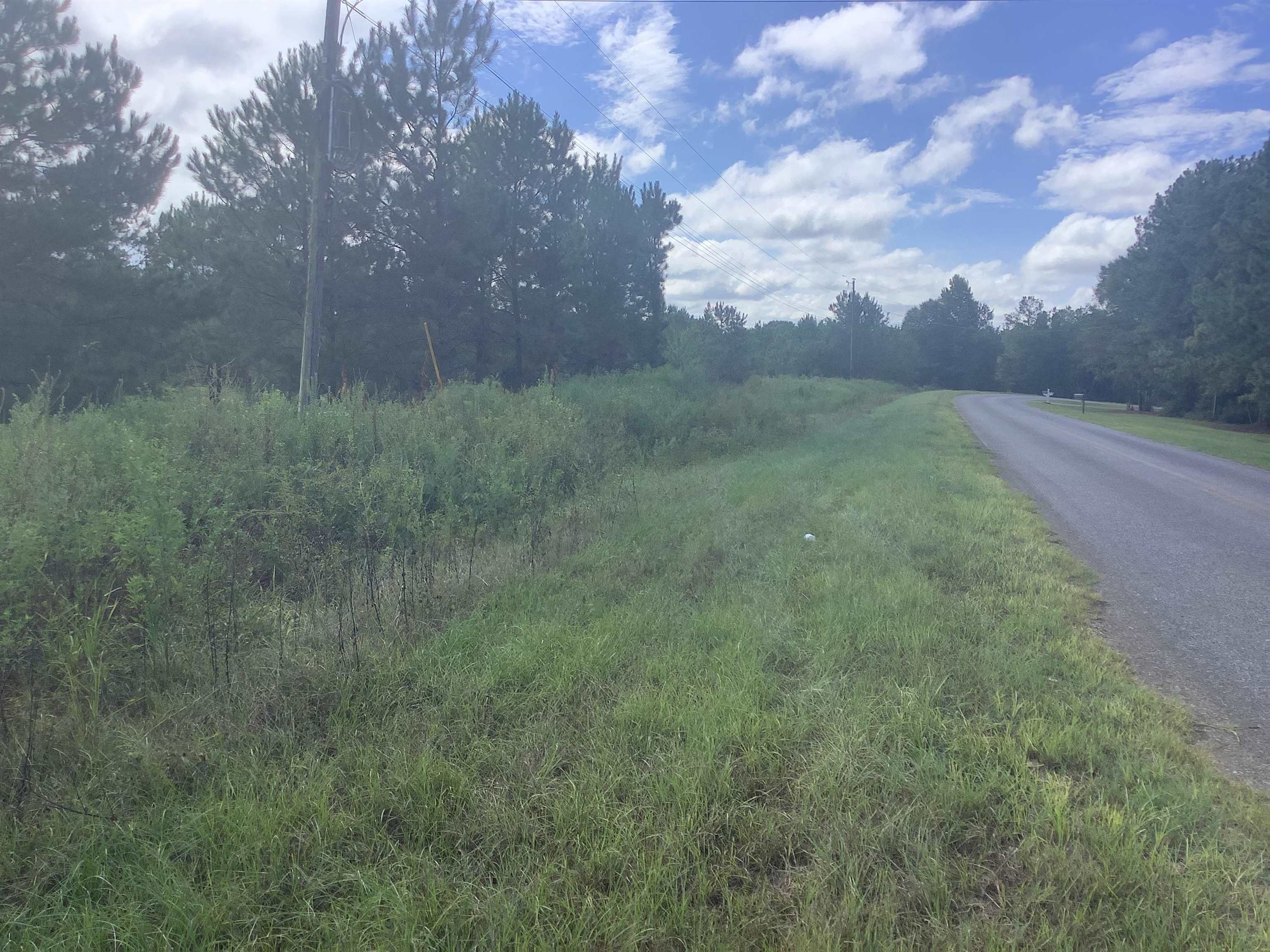74 Old School Road Opp, AL 36467 - Photo 3 of 18 Gallery Image 3