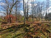0 Summit Road Pataskala, OH 43062 - Photo 2 of 2