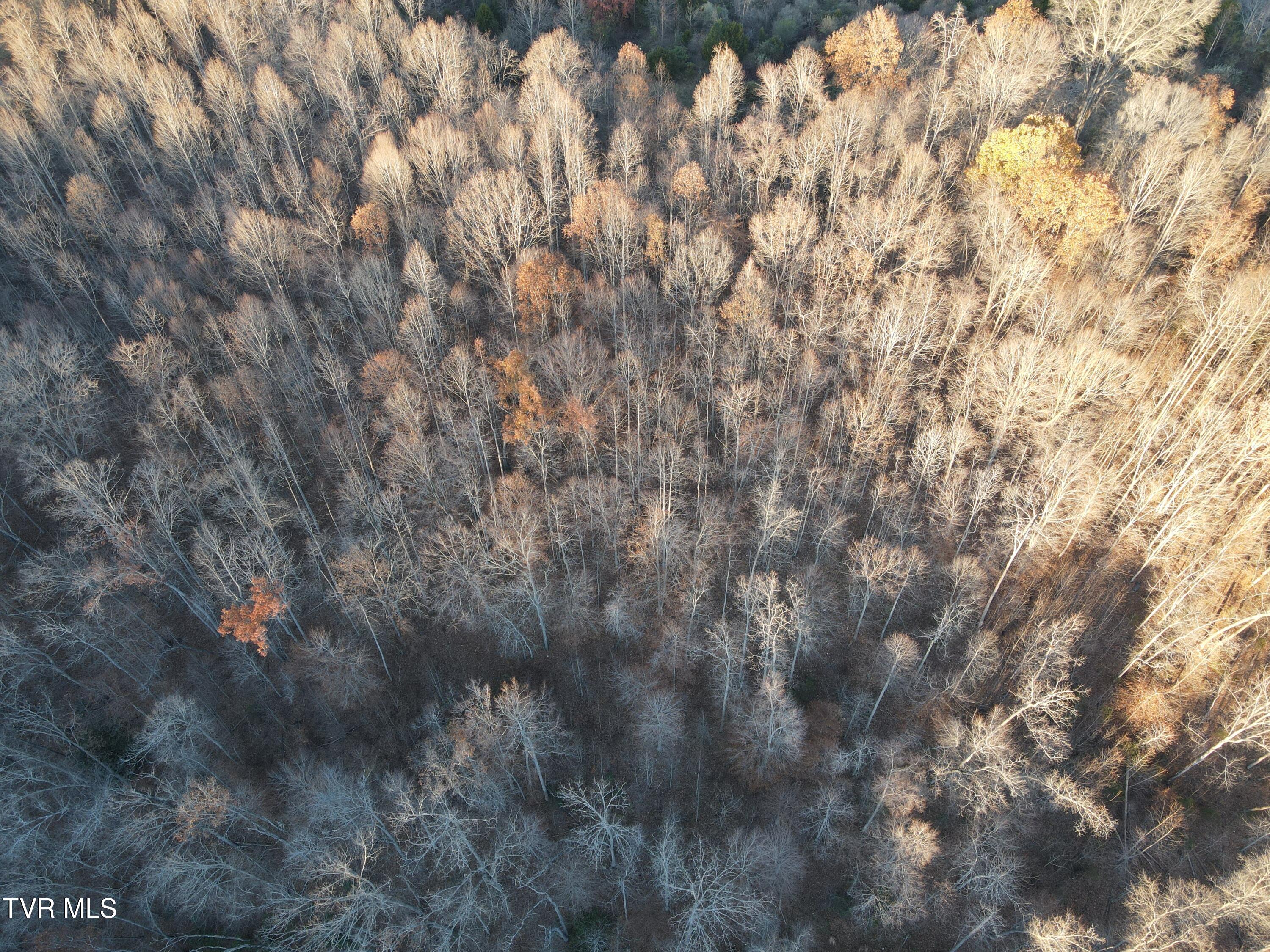 Tbd Tbd Sulphur Springs Road Pennington Gap, VA 24277 - Photo 28 of 39 DJI_0314