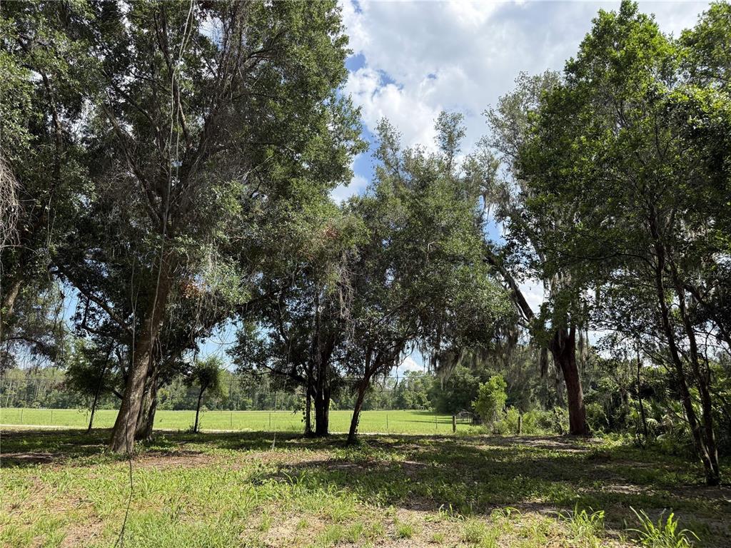 620 Cochran Road Geneva, FL 32732 - Photo 2 of 11