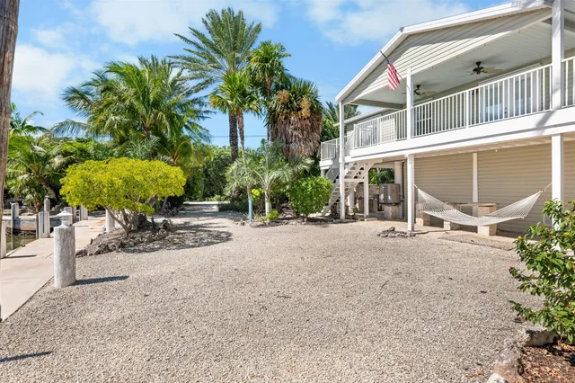 a plant that is in a garden