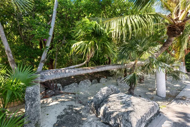 a view of a chairs and table in the patio