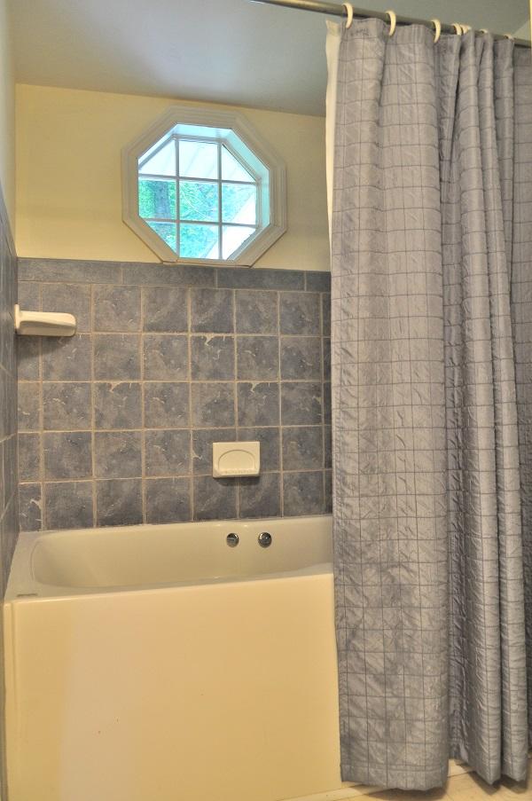 806 Lee Road Salem, VA 24153 - Photo 14 of 24 master whirlpool tub