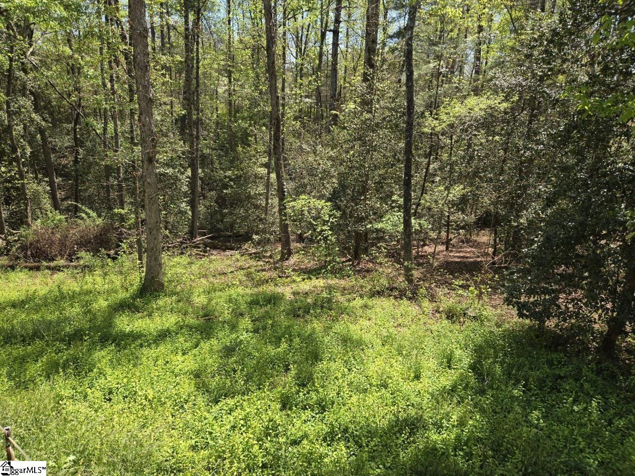 1741 Walhalla Highway Pickens, SC 29671 - Photo 25 of 26