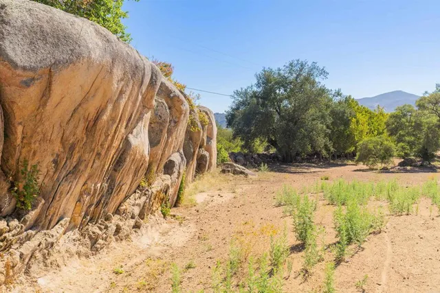 a view of a dry yard with trees