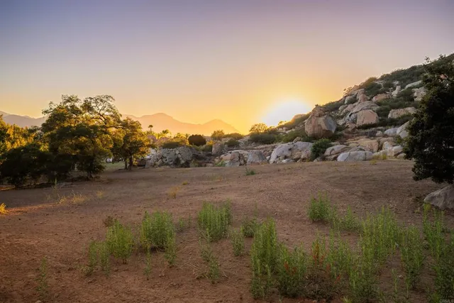 a view of a backyard of the house