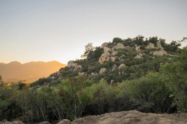 a view of a dry yard