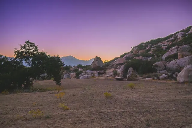 a view of a yard with a tree