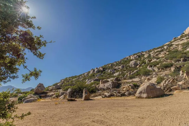 a view of a yard with a tree