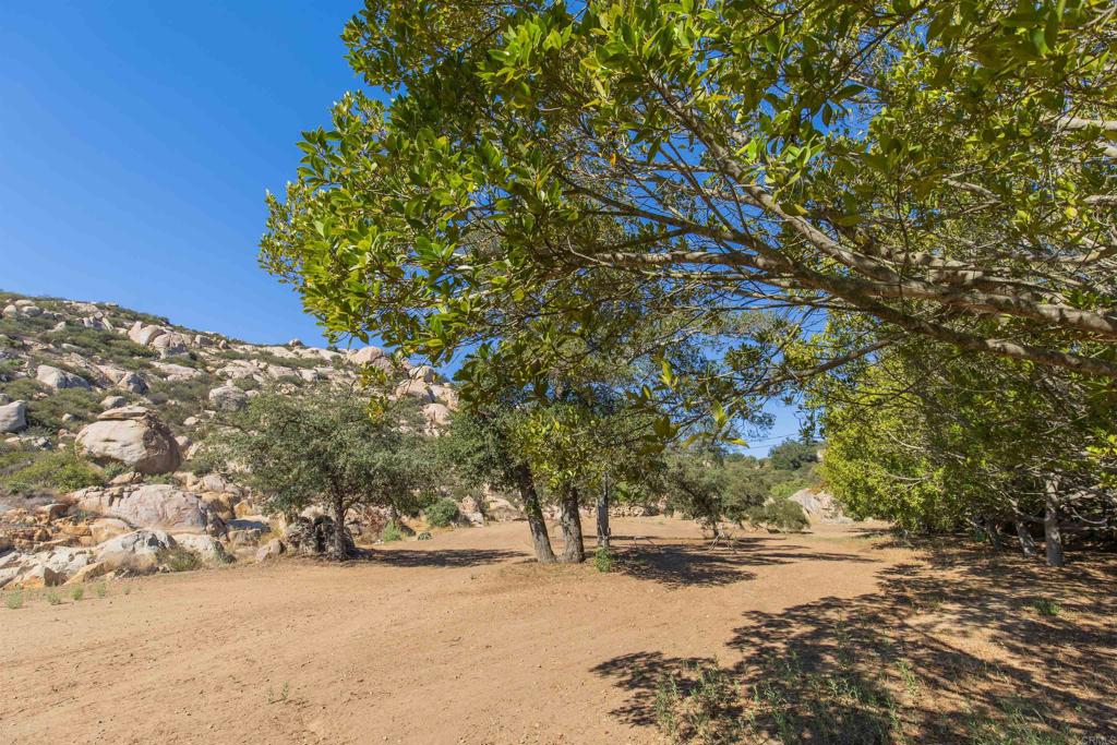 V/l Mahogany Ranch Road Ramona, CA 92065 - Photo 19 of 39 a view of a yard with a tree