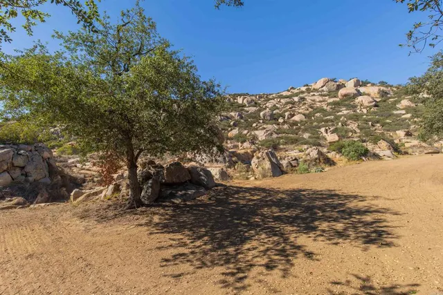 a view of a road with a snow in the background