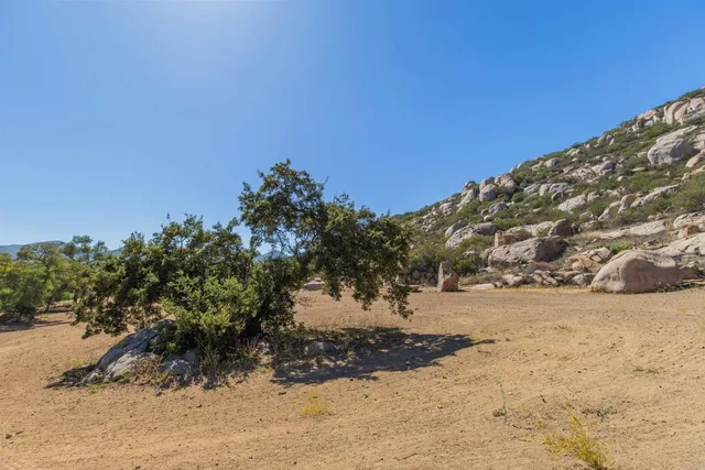 a view of a road with a snow in the background