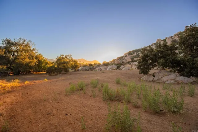 a view of a large yard with trees in the background