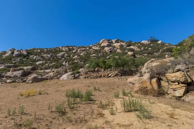 a view of swimming pool with a yard
