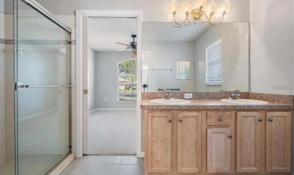 1520 Canberley Court Trinity, FL 34655 - Photo 17 of 35 a bathroom with a granite countertop sink a mirror and a shower