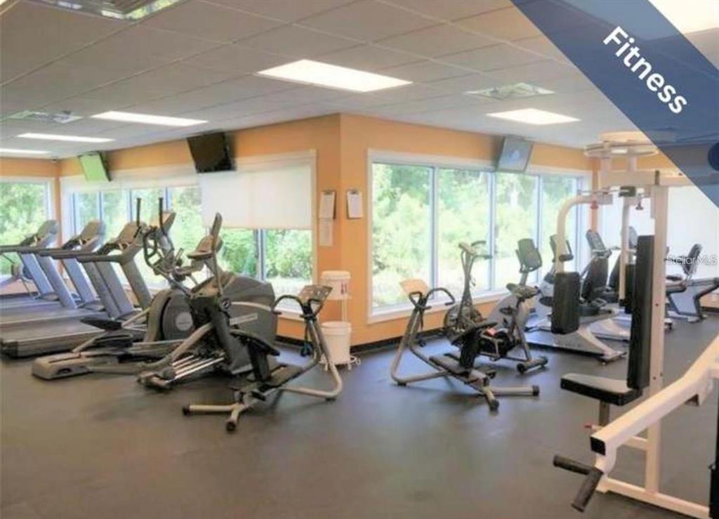 1520 Canberley Court Trinity, FL 34655 - Photo 34 of 35 a view of a room with gym equipment