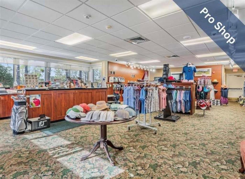 1520 Canberley Court Trinity, FL 34655 - Photo 35 of 35