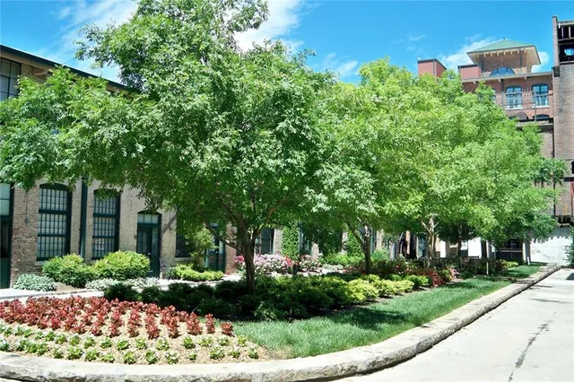 a view of a garden with plants and trees