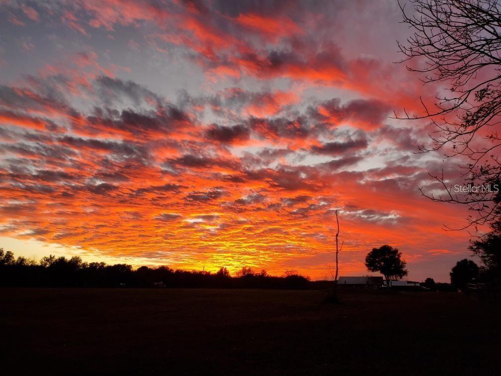 700 Old Geneva Road Geneva, FL 32732 - Photo 77 of 79