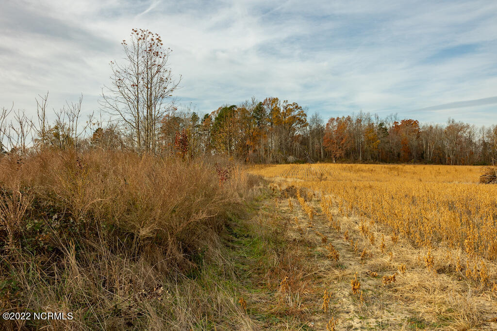 0 Allie Clay Road Roxboro, NC 27573 - Photo 14 of 17 14