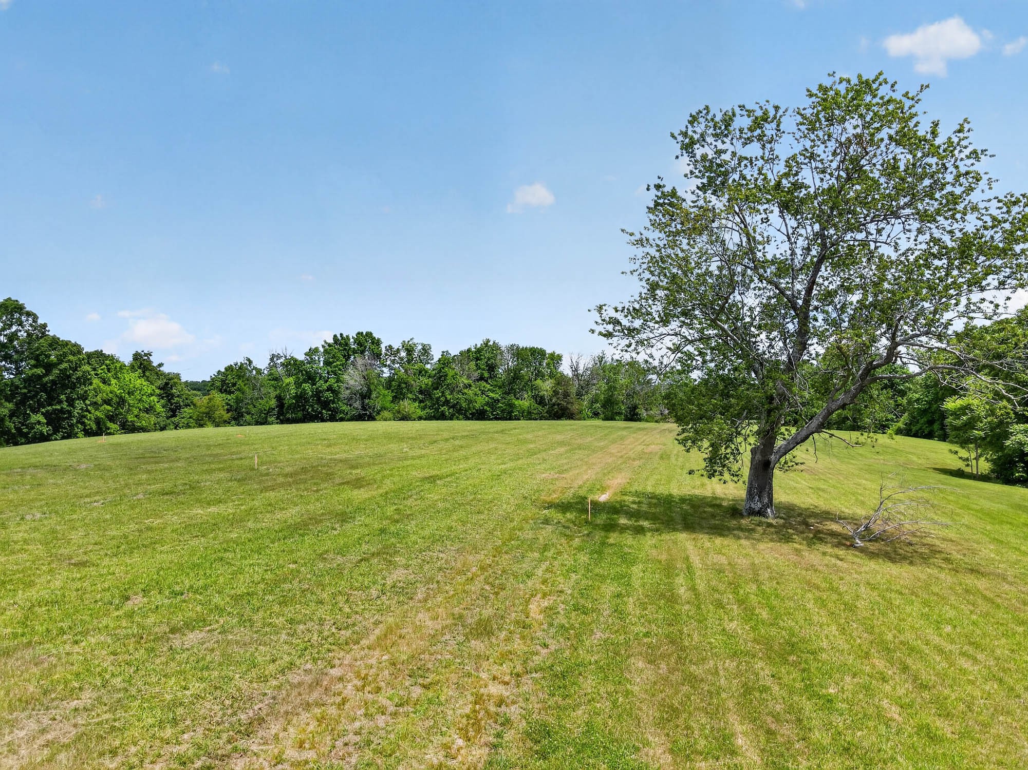 7393 South Harpeth Road Franklin, TN 37064 - Photo 3 of 27