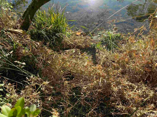 $25,000 | 1048 Fleming Drive, Pensacola, FL 32514